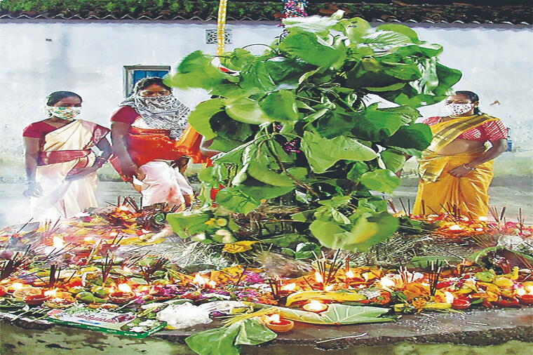 BHU DAAN - (भू दान) (ENVIRONMENT) PROJECT 40