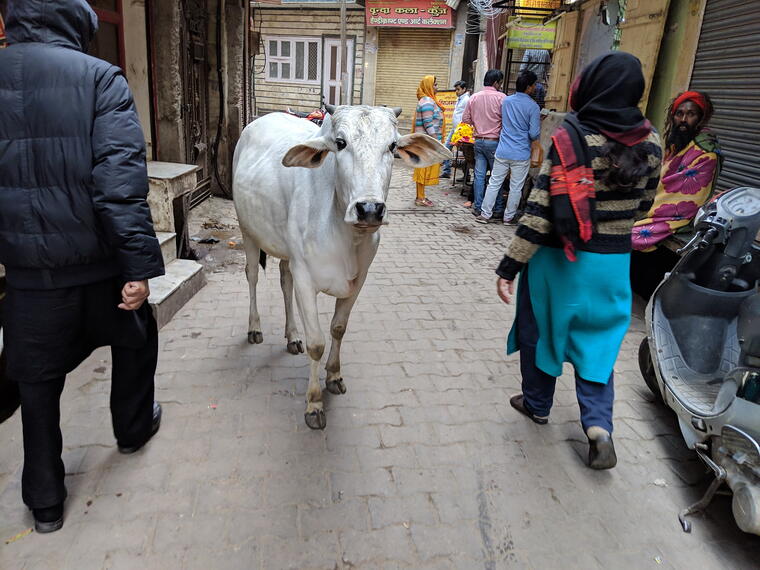 TIRTH VIKAS (तीर्थ क्षेत्र विकास) PROJECT 93