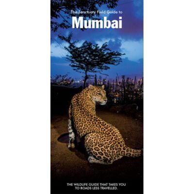 Carousel selected image