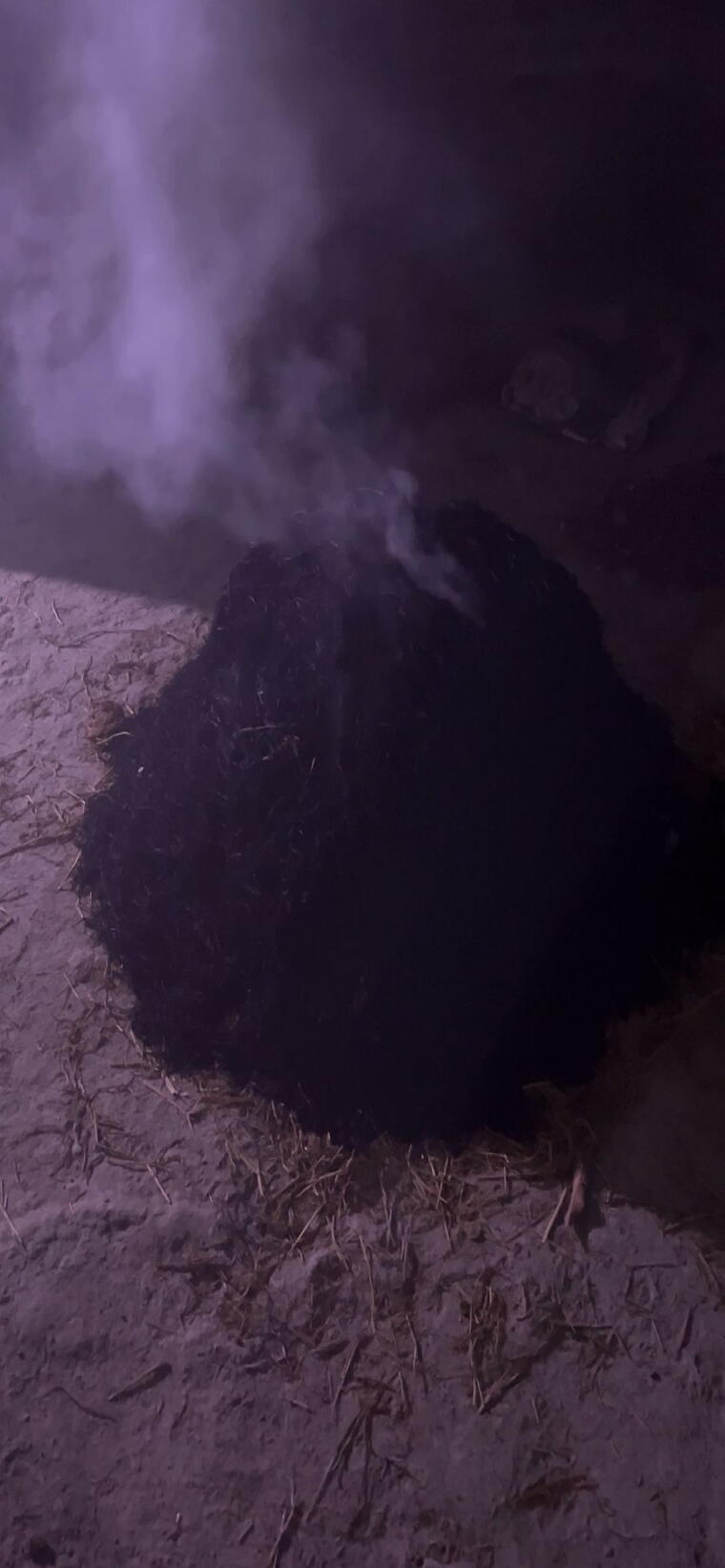 சுத்தமான கோ திருநீறு Pure viboothi 