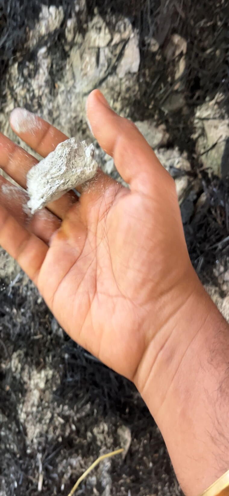 சுத்தமான கோ திருநீறு Pure viboothi 