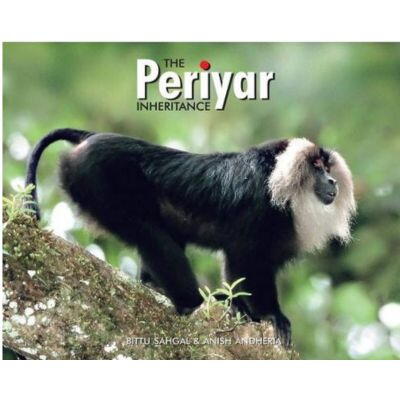 Carousel selected image