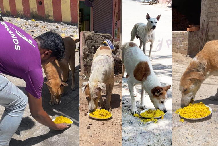 Pephands Animal Welfare Hyderabad