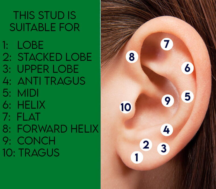 Paw Flat Back - Titanium CZ - Silver