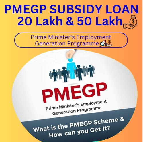 PMEGP SUBSIDY LOAN