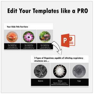 Medical Presentations Bundle