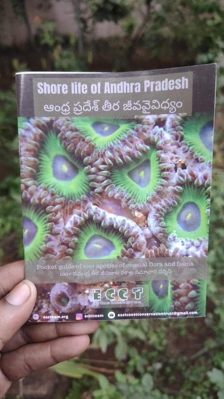 Shore Life of Andhra Pradesh