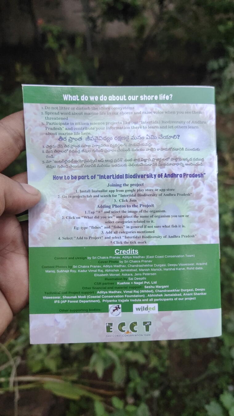 Shore Life of Andhra Pradesh