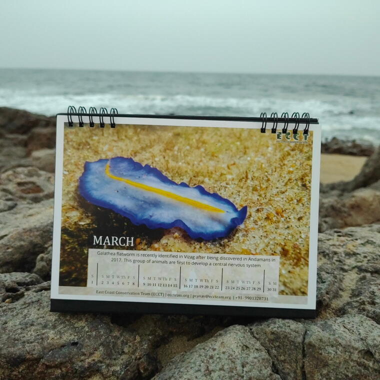 Shore Life of Vizag - desk calendar