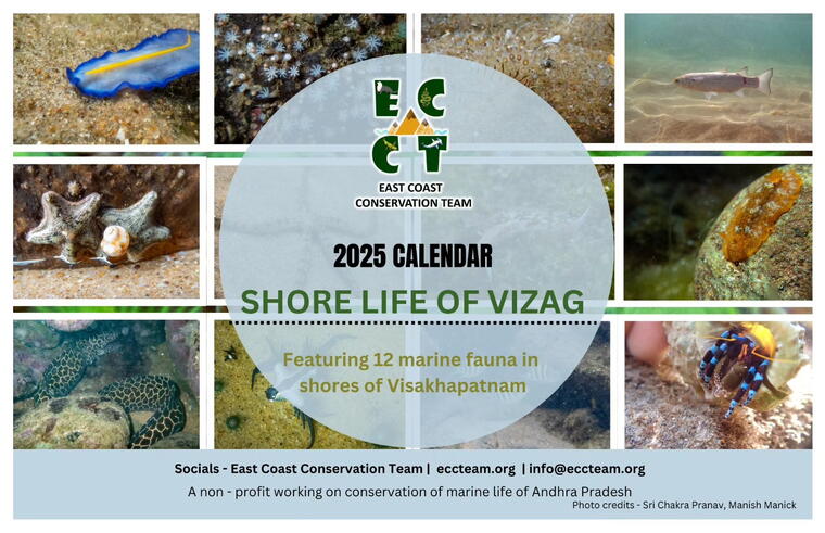 Shore Life of Vizag - desk calendar