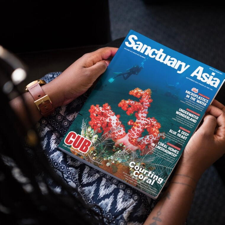 Carousel selected image