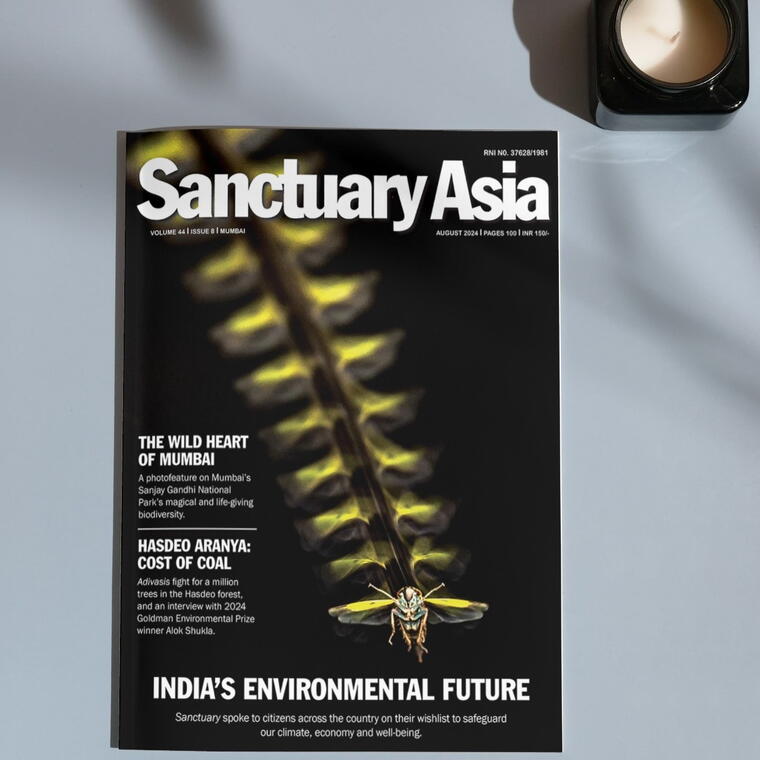 Carousel selected image