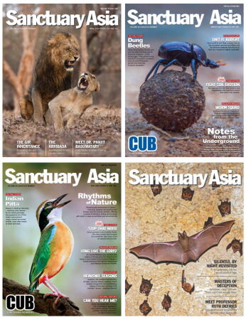 Sanctuary Asia + Cub (12 issues)