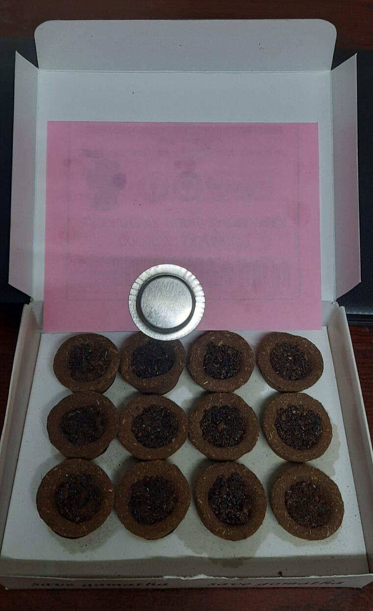 Cow Dung Sambrani Cup