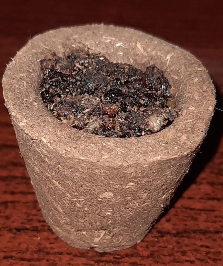 Cow Dung Sambrani Cup