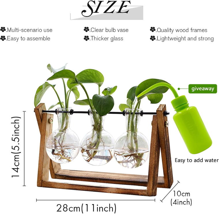 Terrarium with Wooden Stand, Air Planter Bulb Glass