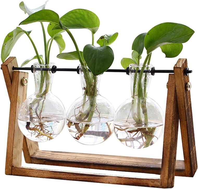 Terrarium with Wooden Stand, Air Planter Bulb Glass