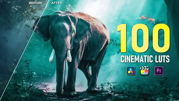 Cinematic LUTs for Color Grading 