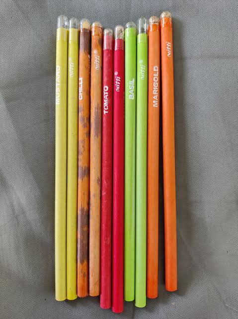 SEED PENCIL ✏️✏️✏️✏️✏️