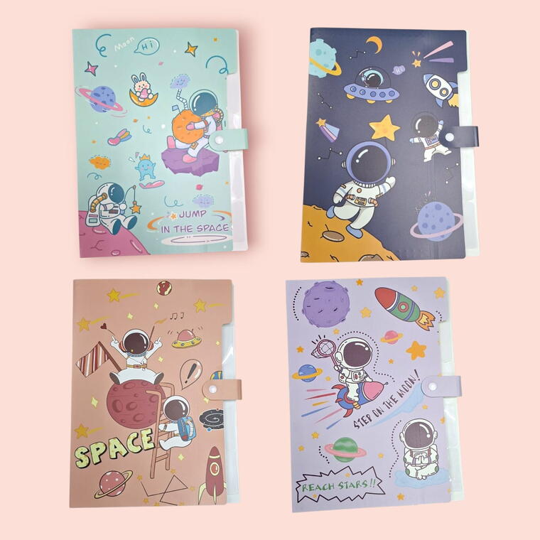 FILE FOLDER FOR DOCUMENTS/CERTIFICATES A4 SIZE D2 - PACK OF 1 PIECE