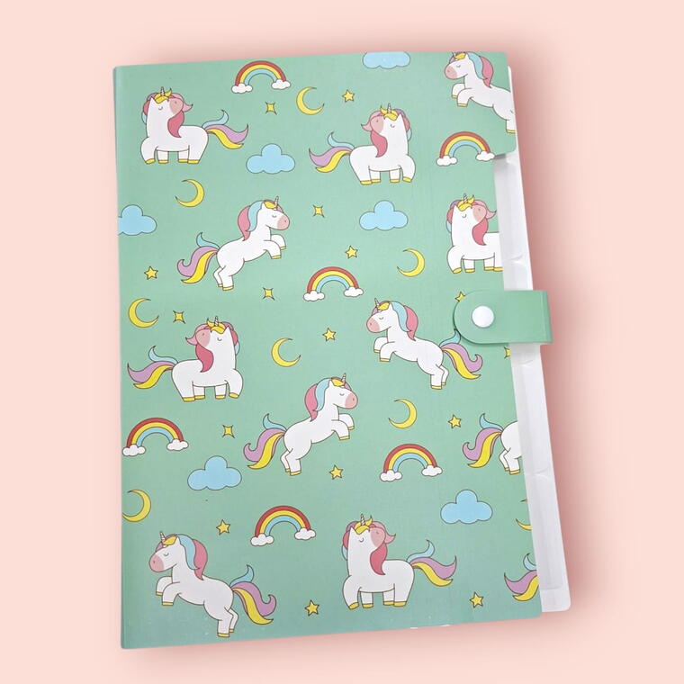 FILE FOLDER FOR DOCUMENTS/CERTIFICATES A4 SIZE D5 - PACK OF 1 PIECE