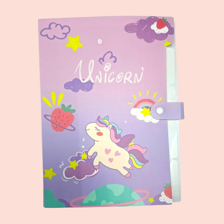 FILE FOLDER FOR DOCUMENTS/CERTIFICATES A4 SIZE D6 - PACK OF 1 PIECE