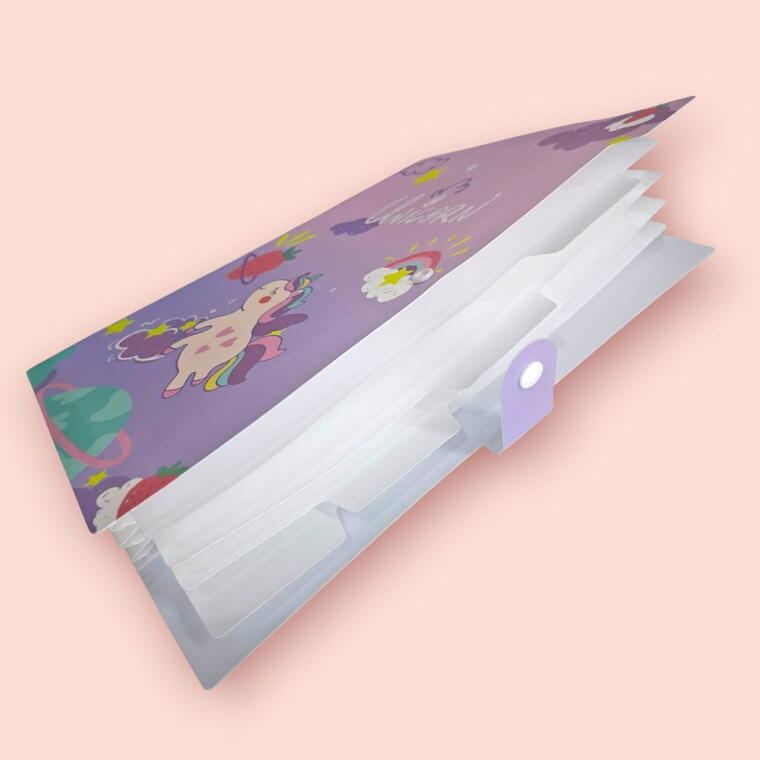 FILE FOLDER FOR DOCUMENTS/CERTIFICATES A4 SIZE D6 - PACK OF 1 PIECE