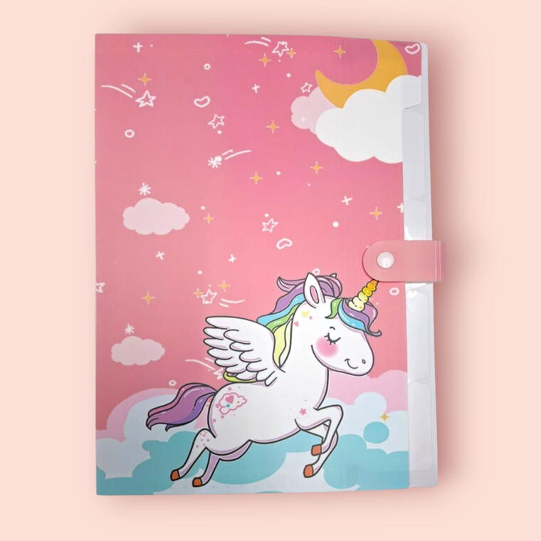 FILE FOLDER FOR DOCUMENTS/CERTIFICATES A4 SIZE D7 - PACK OF 1 PIECE