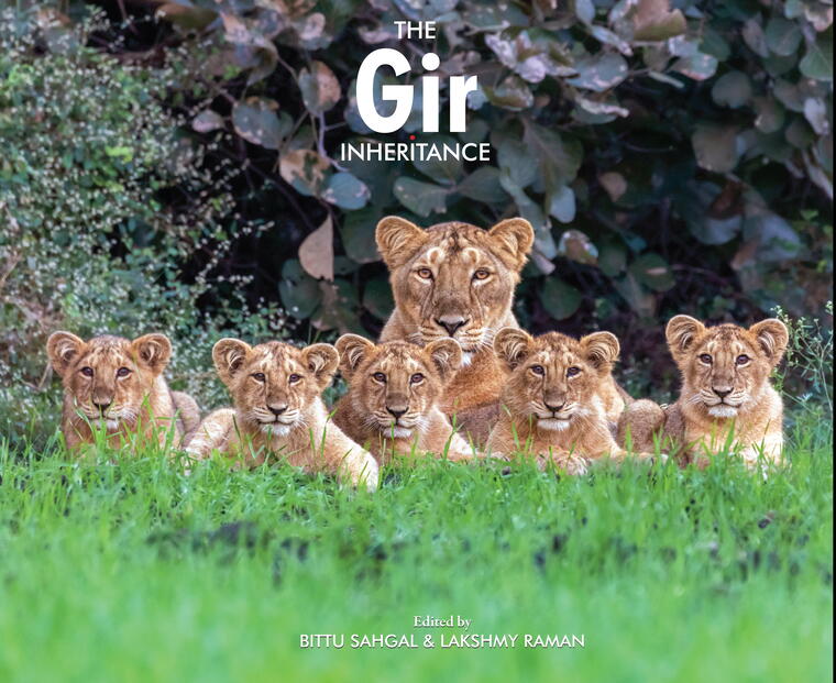 Carousel selected image