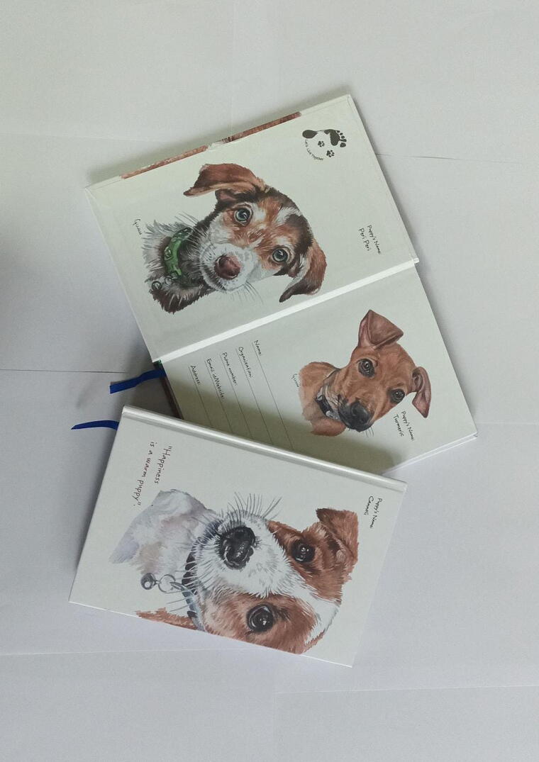 Set of 3 small note books