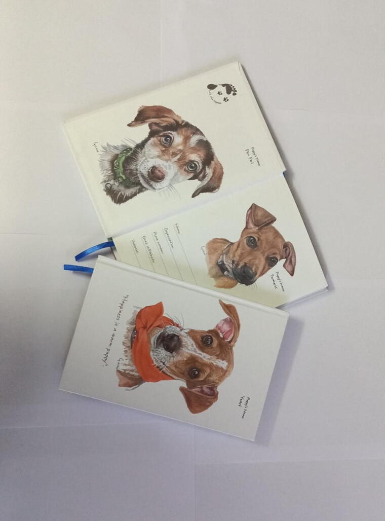 Set of 3 small note books