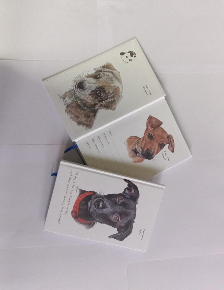 Set of 3 small note books