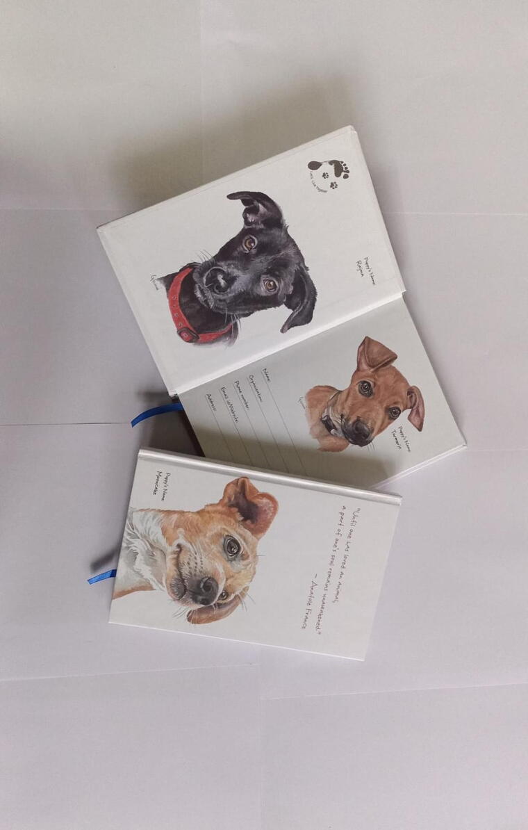 Set of 3 small note books