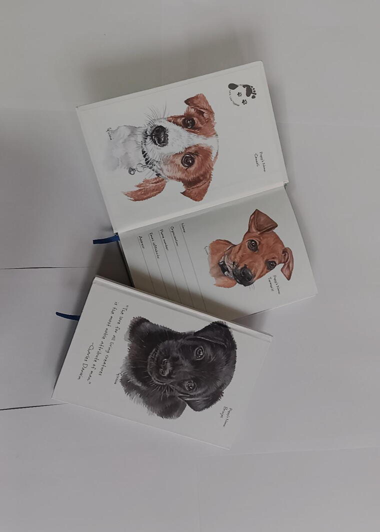 Set of 3 small note books