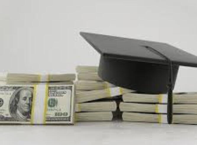 Form &amp; Fund assessment Support (Excluding Form cost)