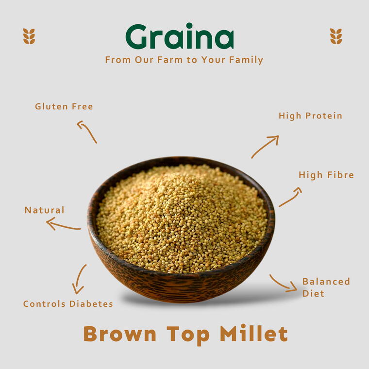 Brown Top Millet | Andu Korralu