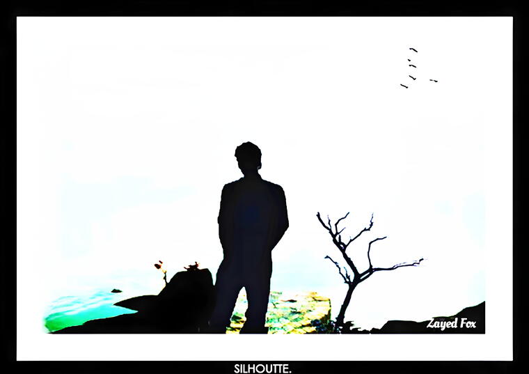 SILHOUETTE MINIMALISTIC