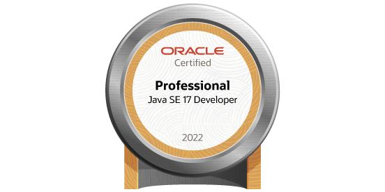 Java Developer Professional