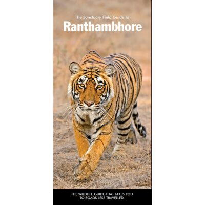 Carousel selected image