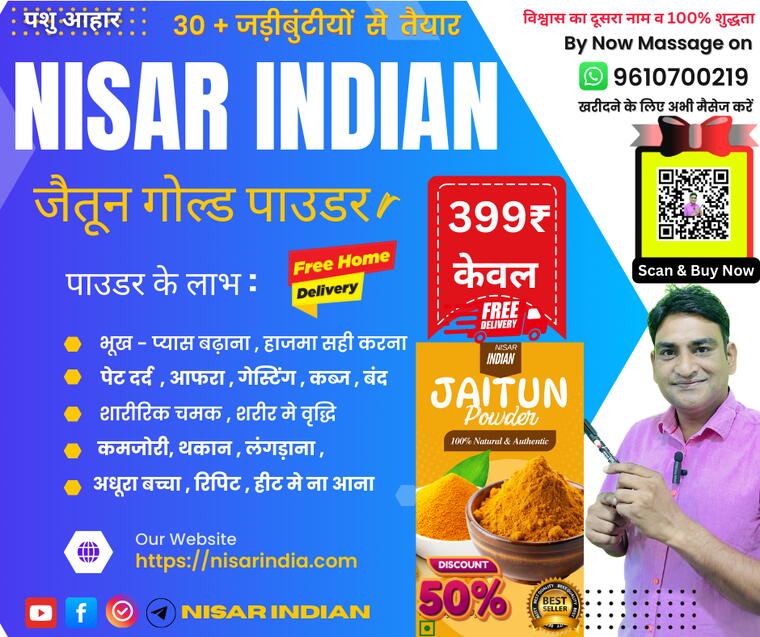 जैतून गोल्ड पाउडर 500 GRAM