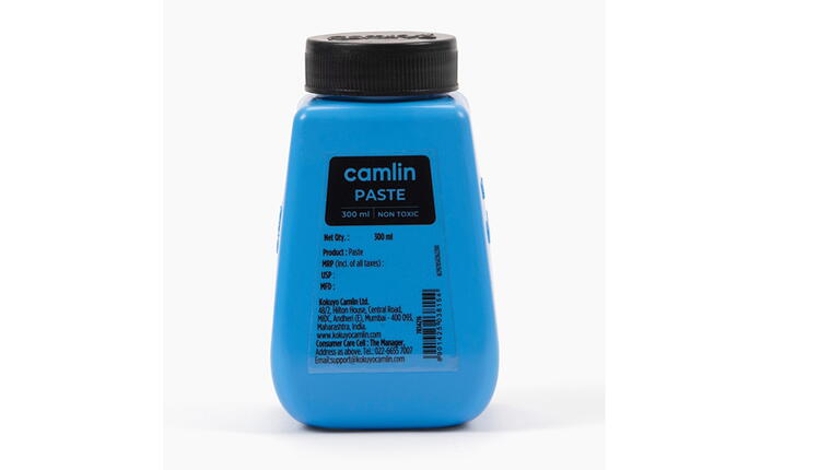 CAMLIN 300 ML GLUE
