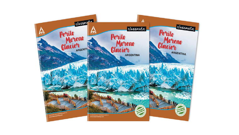 CLASSMATE LONG BOOK UNRULED(140 PGS)