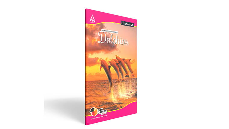 CLASSMATE LONG BOOK UNRULED(172 PGS)