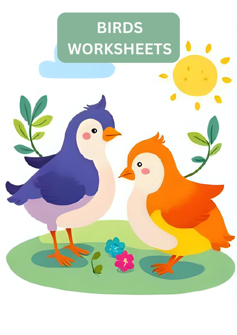 Birds Worksheets For Class 3
