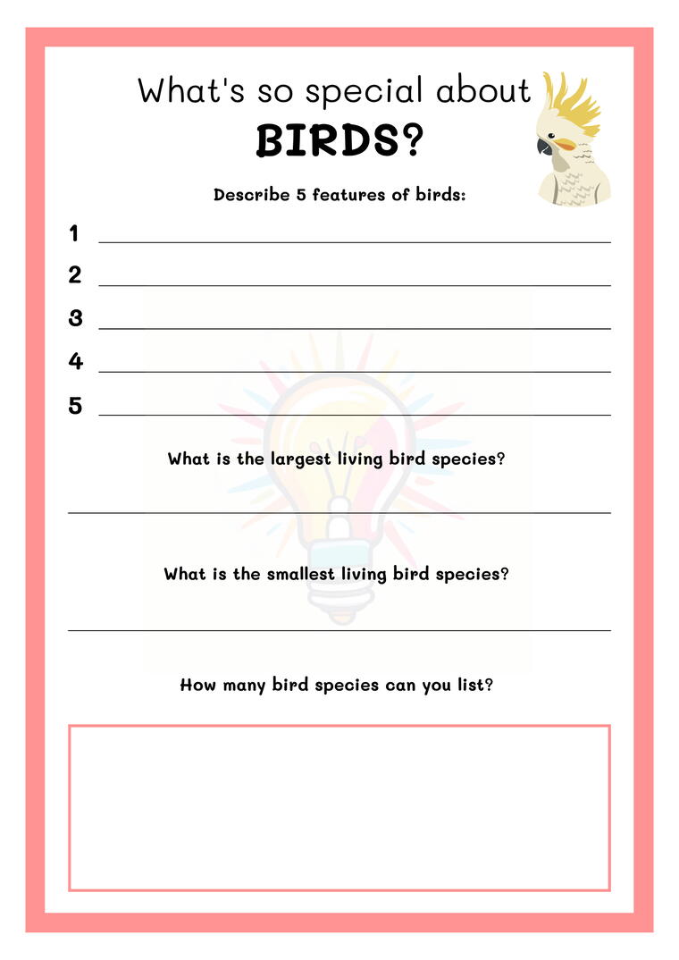 Birds Worksheets For Class 3