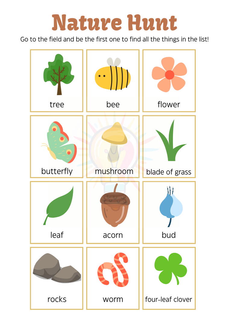 Common Insects Worksheets For Class 3