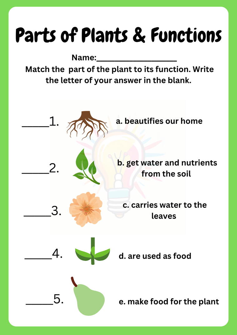 Plants in the Surroundings Worksheets For Class 3