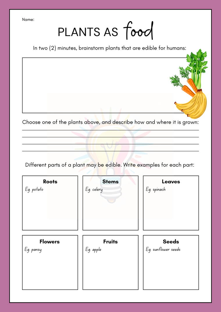 Food We Get from Plants Worksheets For Class 3