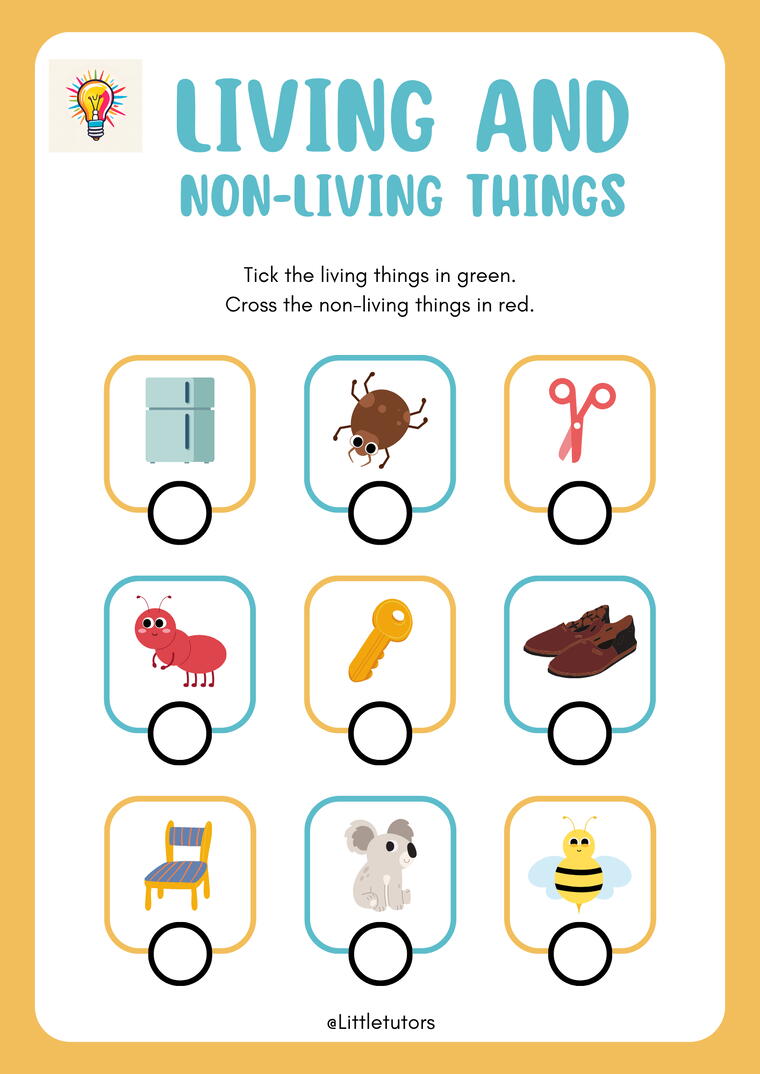 Living and Non-Living things Worksheets For Class 3