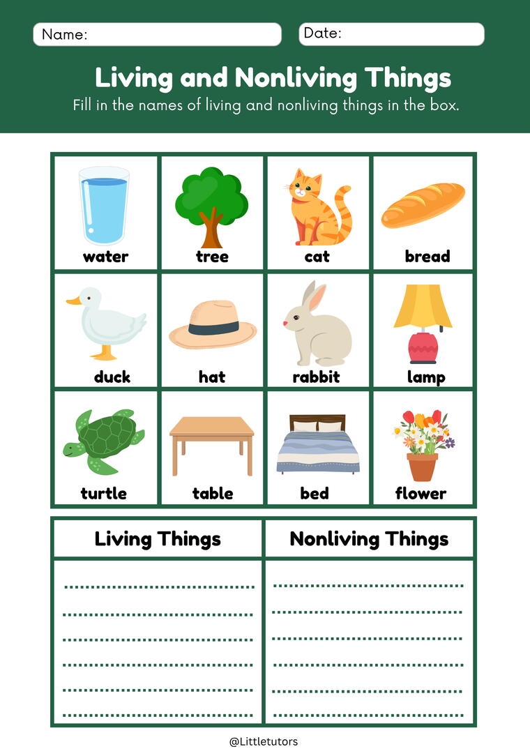 Living and Non-Living things Worksheets For Class 3